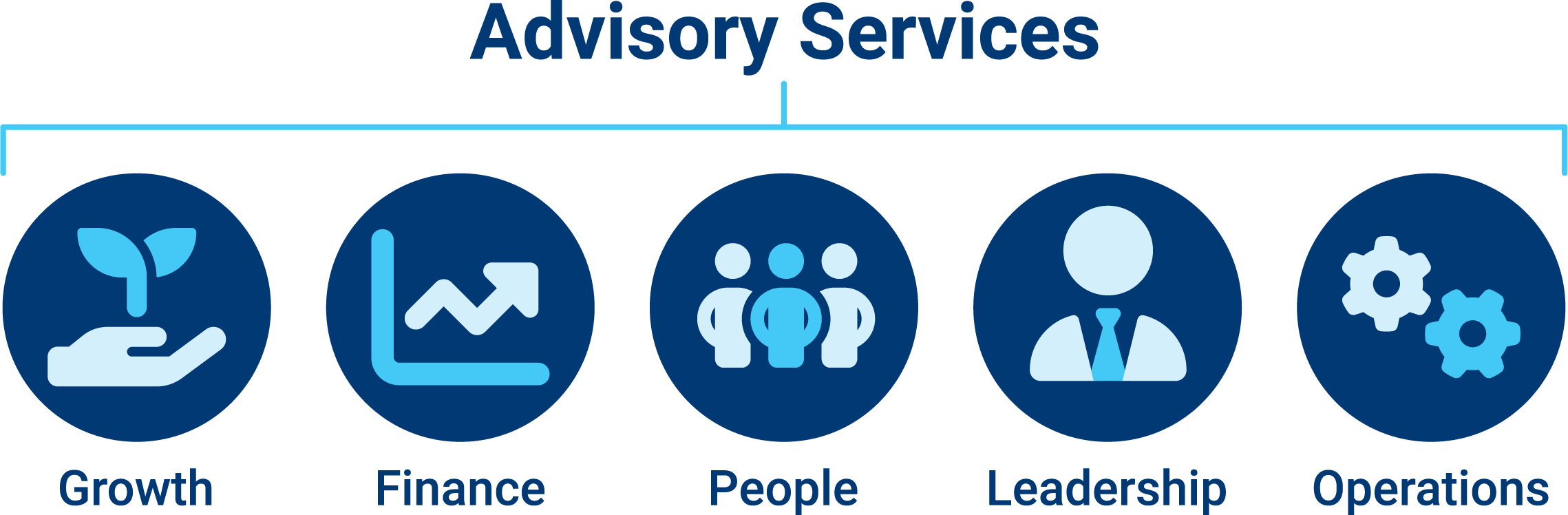 Advisory Services Growth Areas Web