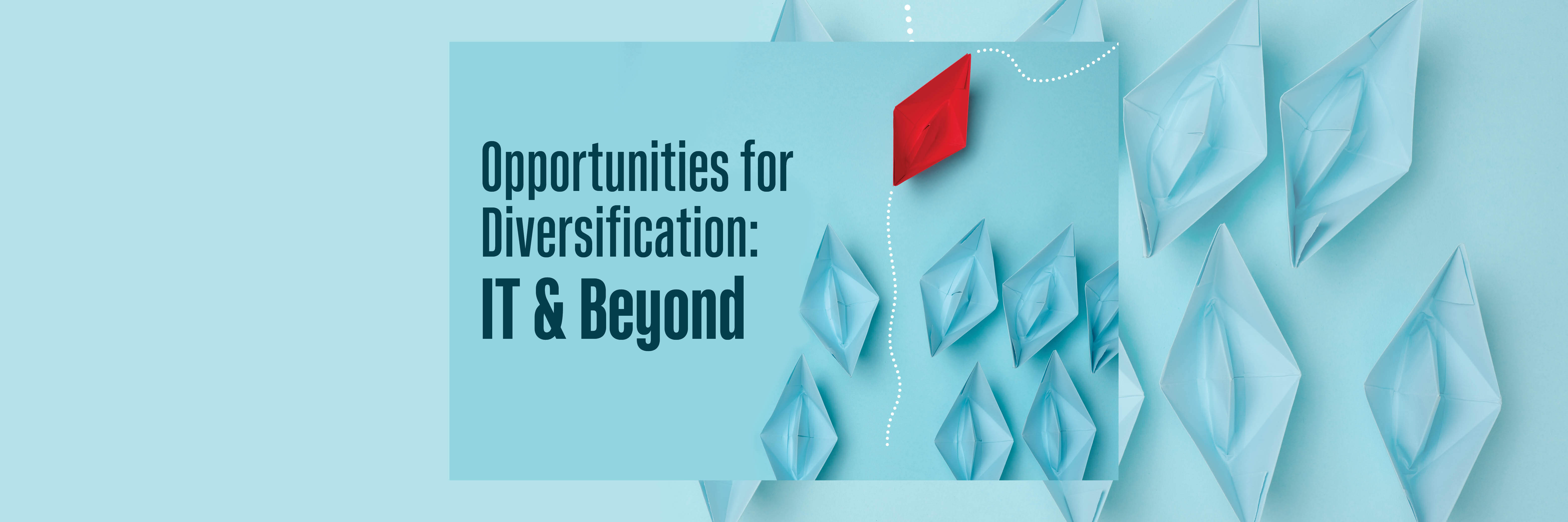 Opportunities for Diversification: IT & Beyond